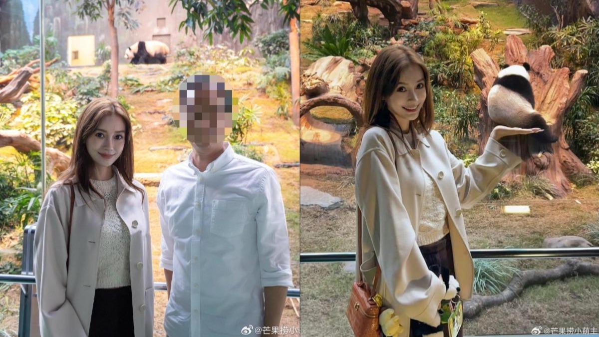  杨颖 